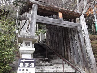 taroubouguu-torii.jpg
